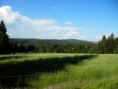 /album/fotogalerie-fotogalerie/a37-jpg/